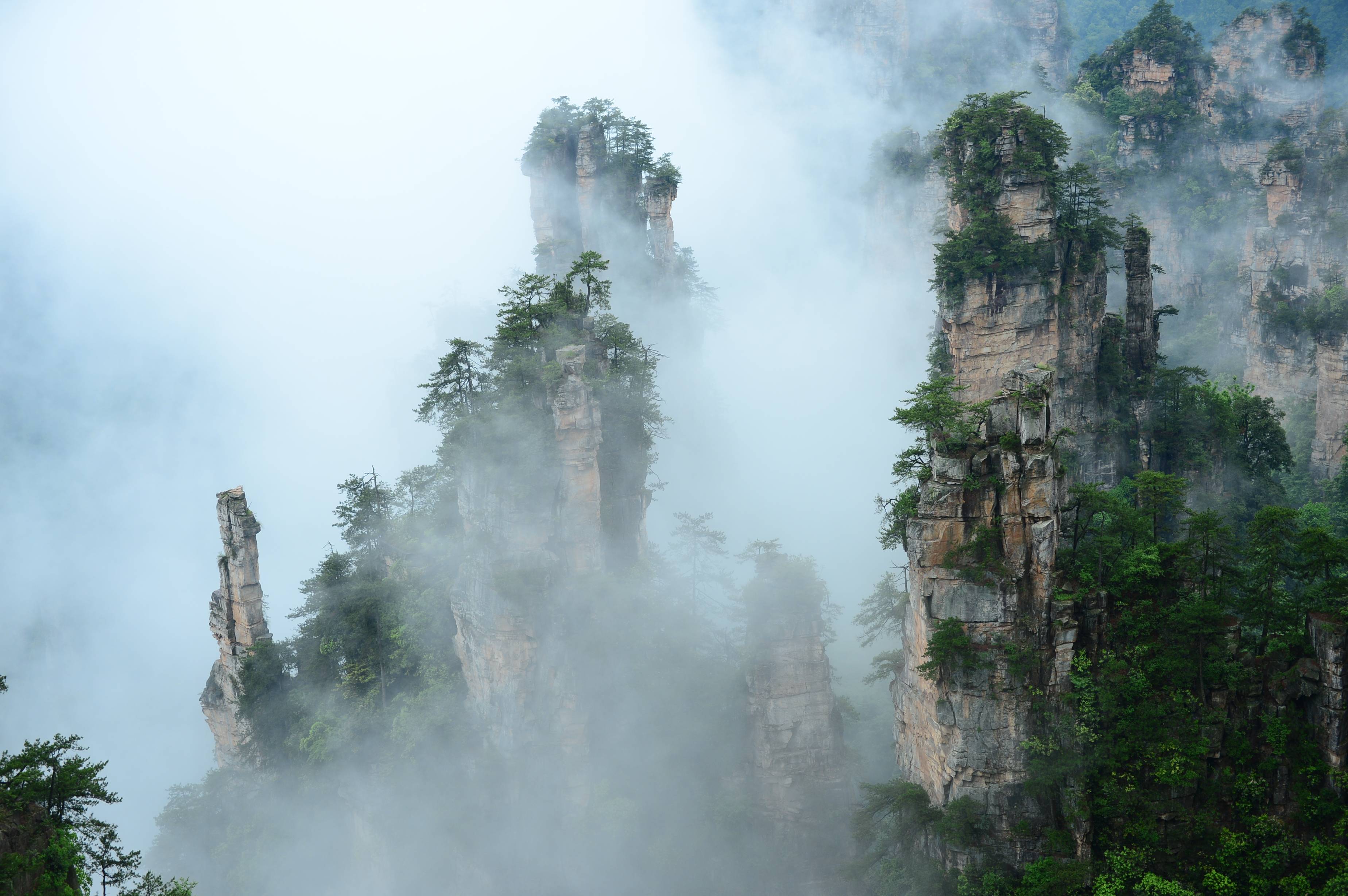 张家界天子山:端午佳节云海飞扬(组图)