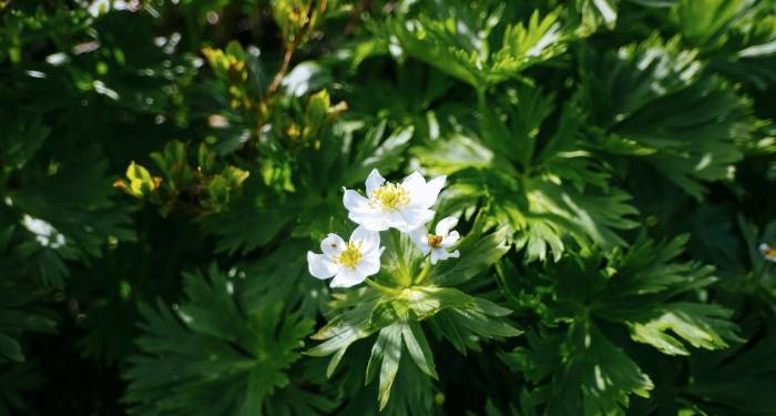 发力前装渠道,家电企业需要解决三个定位问题-家电圈官网