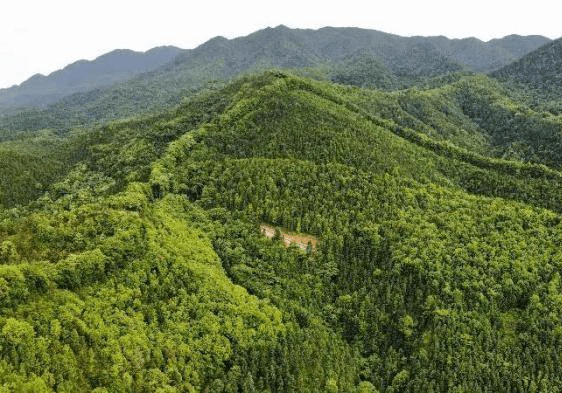 广东20个省级森林生态综合示范园建成开放