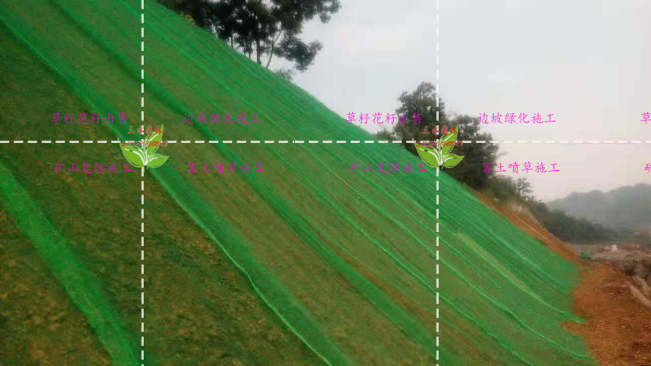 边坡绿化三维生态网是做什么用_护坡_植被_植物