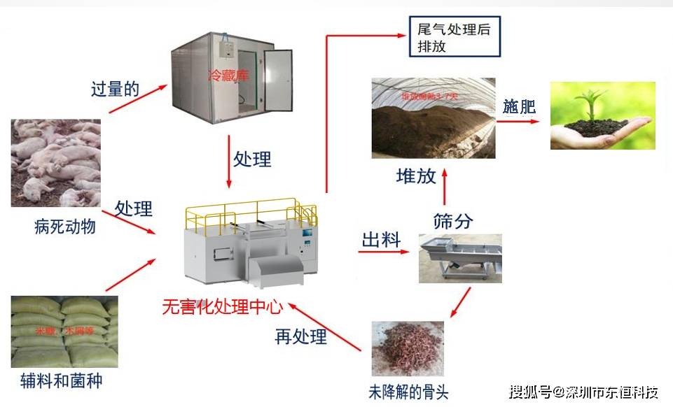 病豬無害化處理微生物屍體降解設備優勢