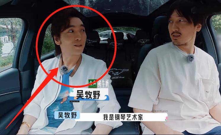 钢琴艺术家上桃花坞2 成为坞民的吴牧野 是妥妥的角落艺术家 陈瑜 宋丹丹 获奖