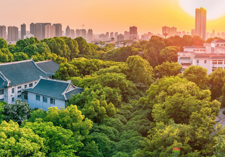 外國語學院,其歷史可以上溯到1871年美國傳教士在武昌創立的文華書院