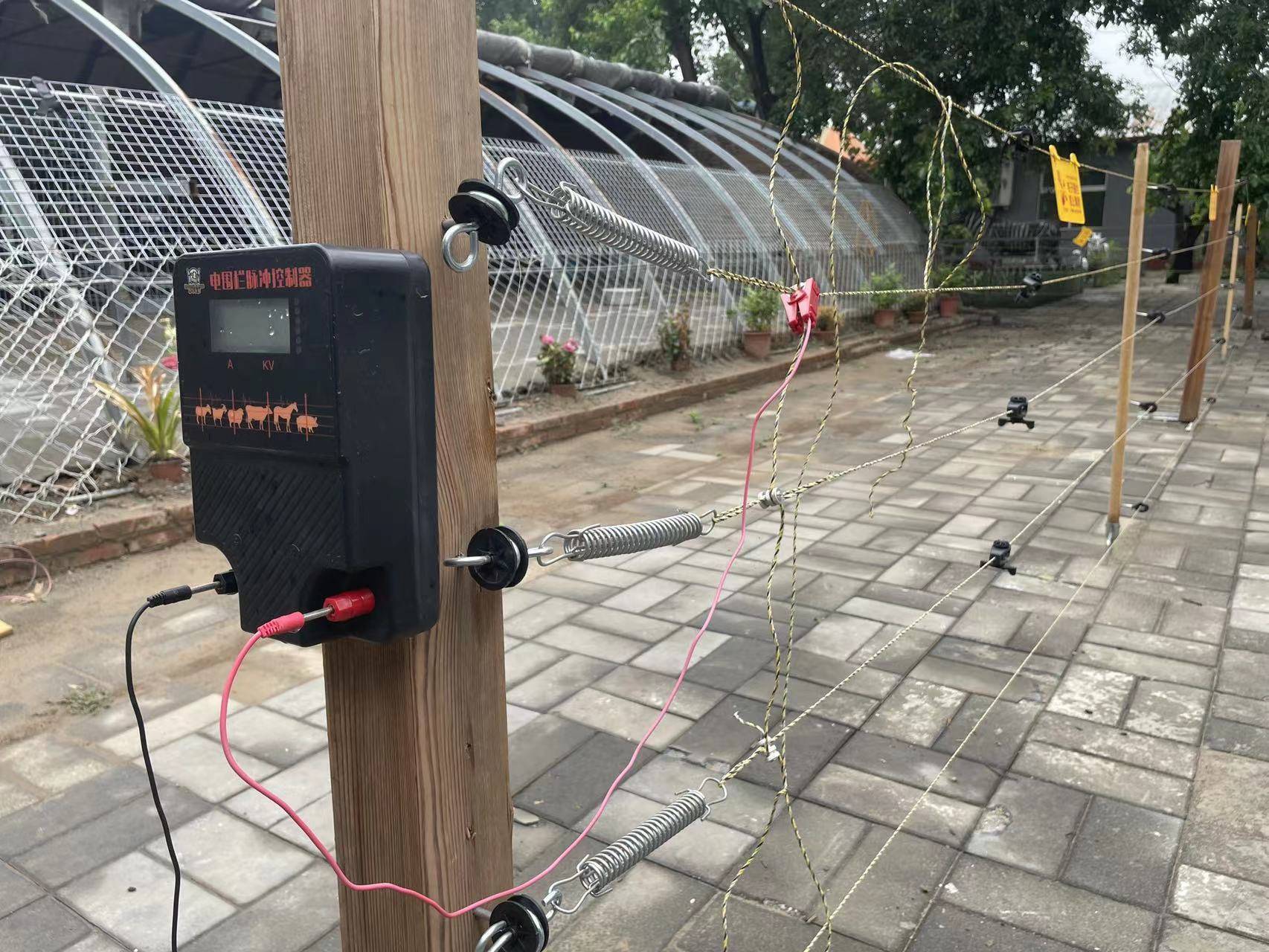 牧场电子围栏真的安全么?听听电围栏厂家怎么说!_管理_脉冲_动物