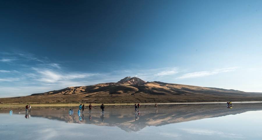 淘宝拼多多的乱价让家电厂商头疼-家电圈官网