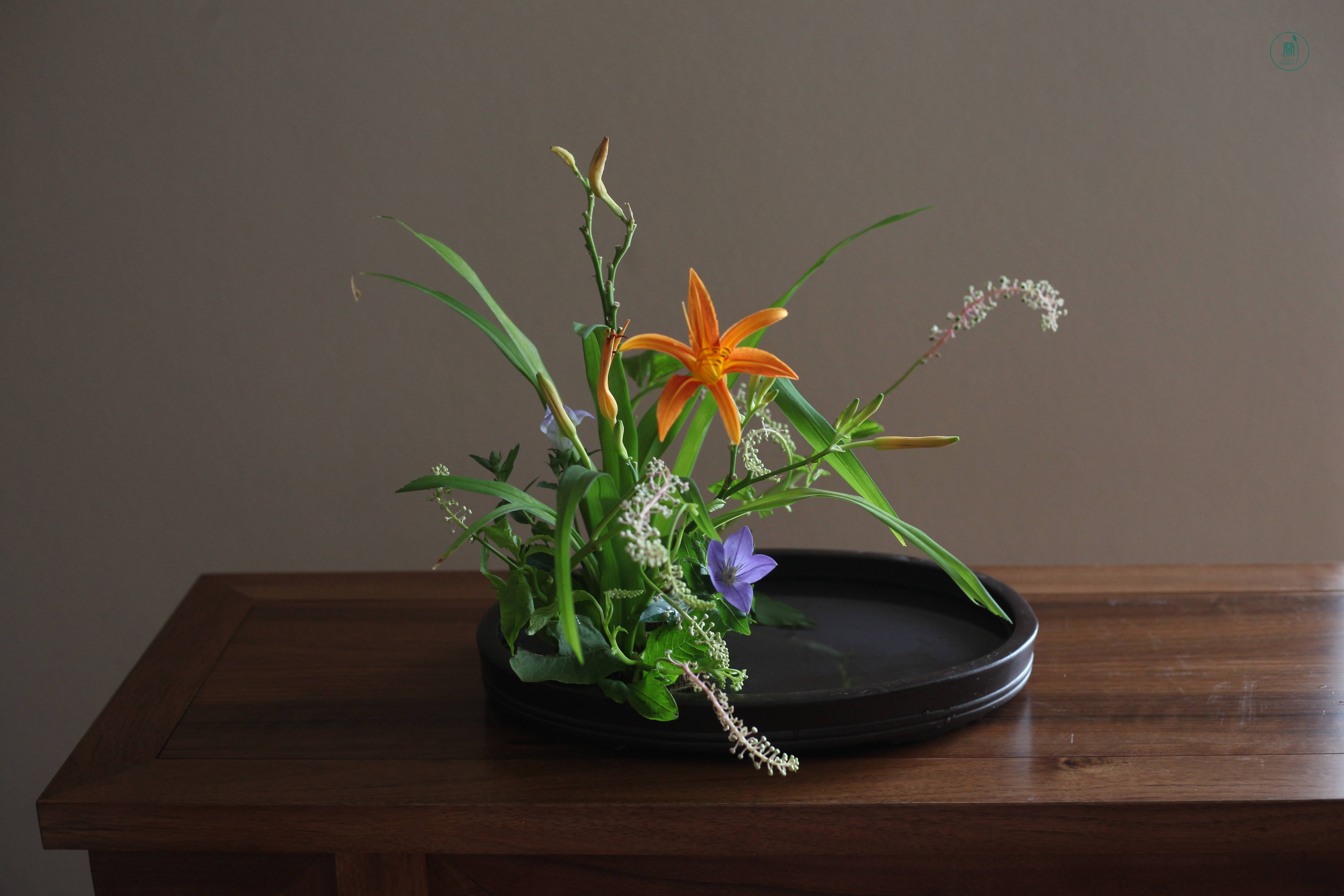 西安小原流花道|夏日生活美学课