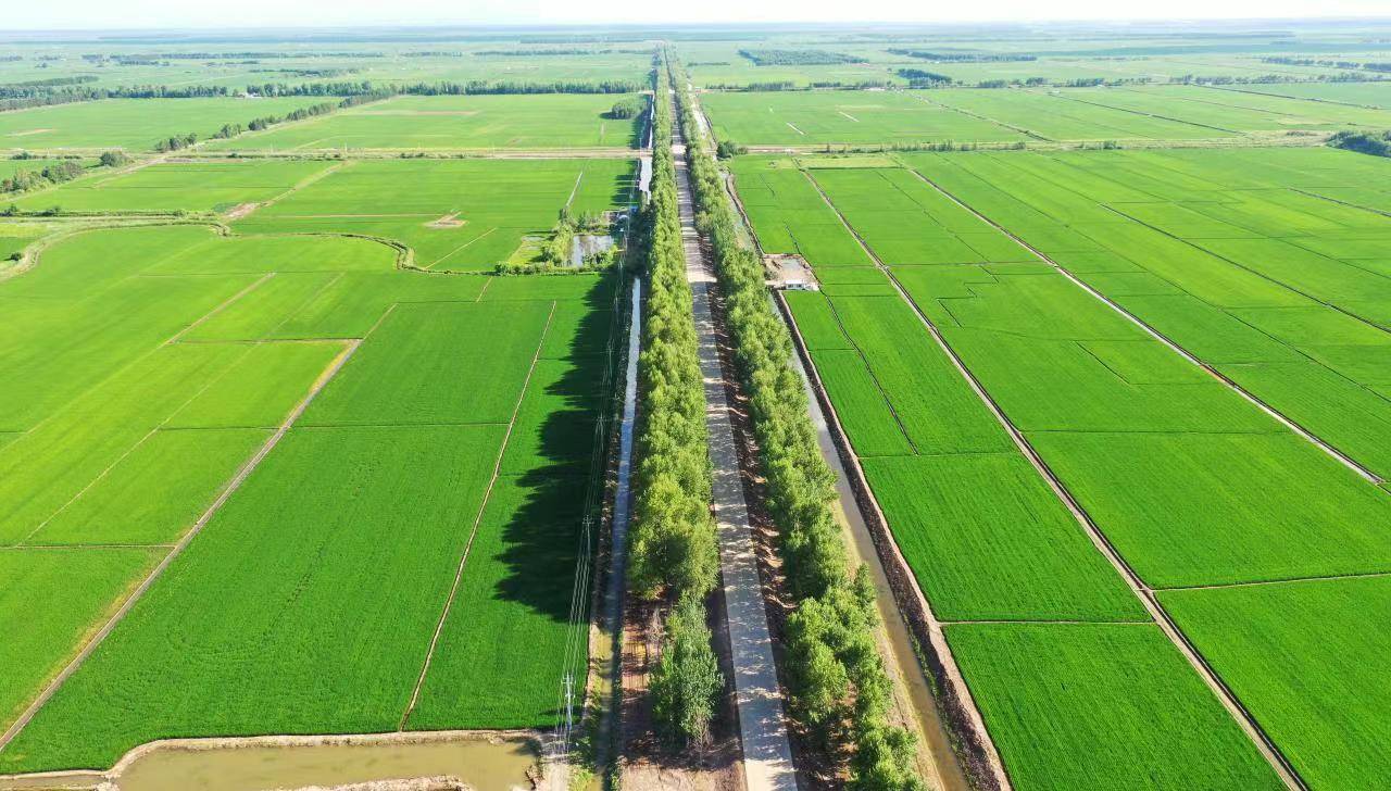 北大荒集团洪河农场有限公司江水灌溉智能化推动农业提质增效