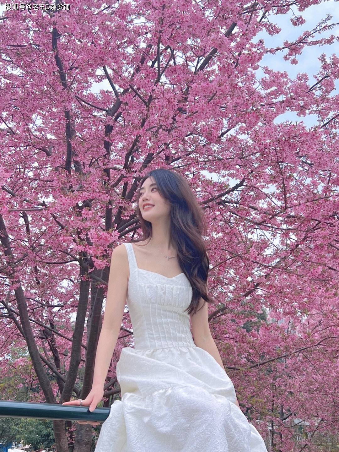 花丛佳人，花色不如美人色