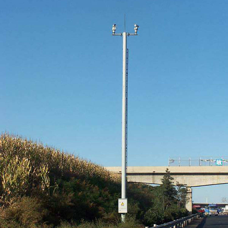 大型监控杆厂家