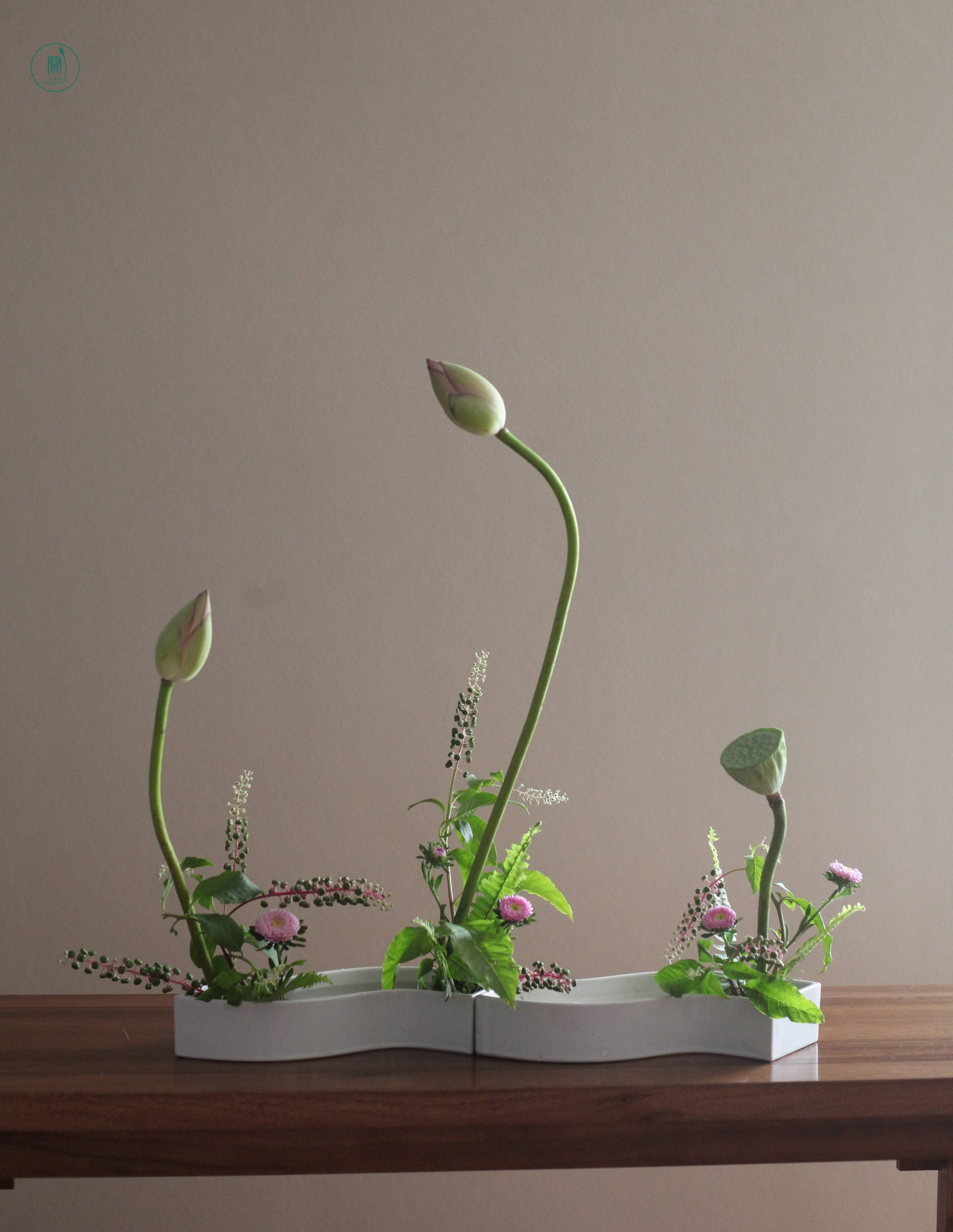 西安蘭印象小原流花道|生活美学课堂