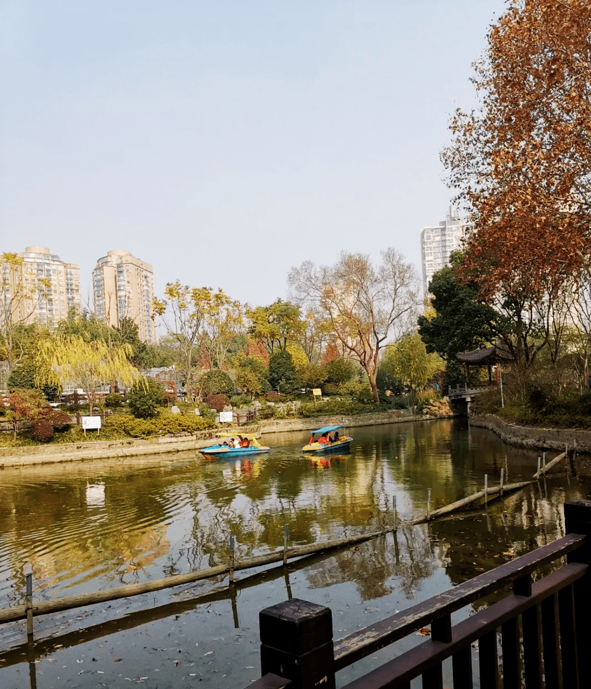 和平公园好时光