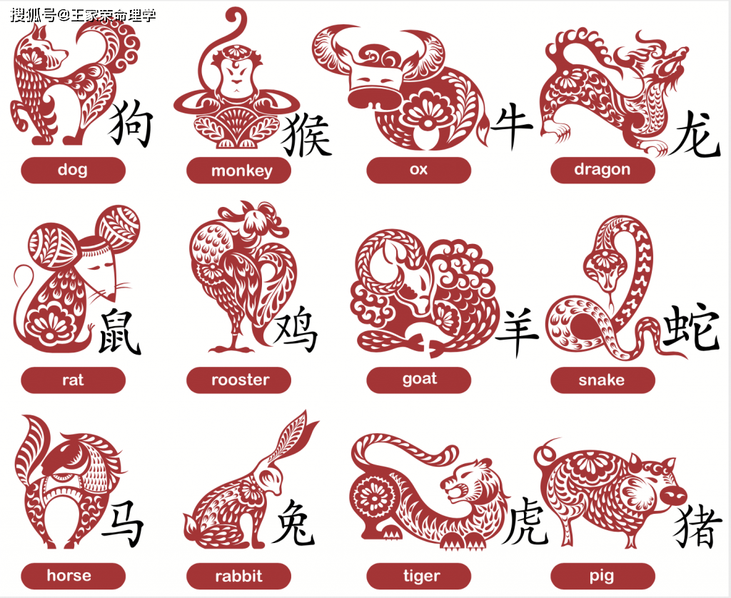 丁老师的生肖运势查询表(丁年是什么生肖)