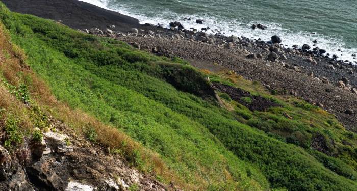 家电以旧换新与家庭节俭消费冲突，这个问题怎么破?-家电圈官网