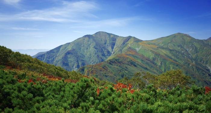 钟薛高张小泉市场“翻车”启示录：高端家电品牌要学会与用户对话-家电圈官网