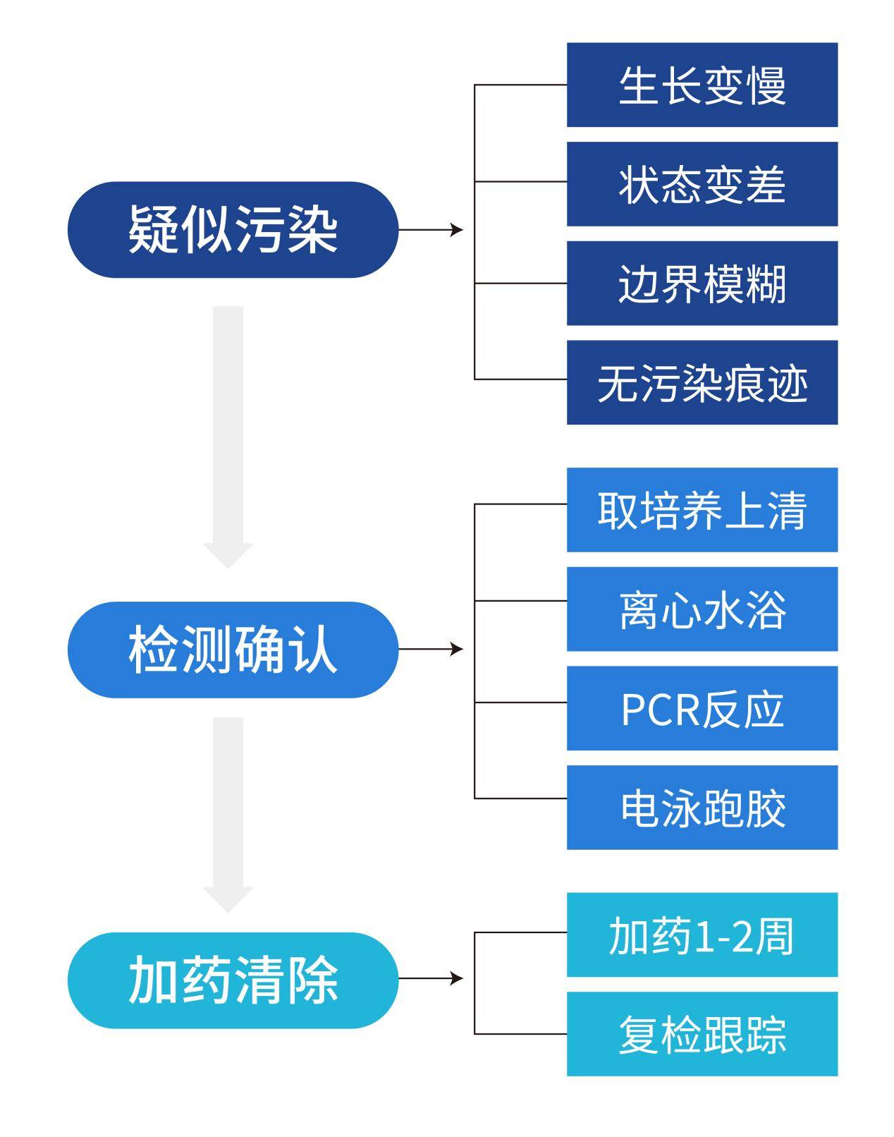 ③實驗者無菌操作不佳;④培養基或其他試劑汙染;⑤製備細胞的原始組織