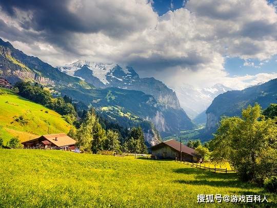 林子的泥土夾雜著清新的氣味,草葉慢慢地探頭,在樹根,在灌木叢,在你的