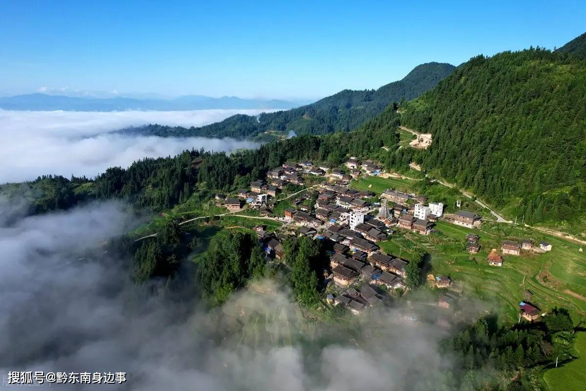 稻田,云海交相辉映,宛如一幅美丽的山村画卷_高增乡_从江县_天鹅山