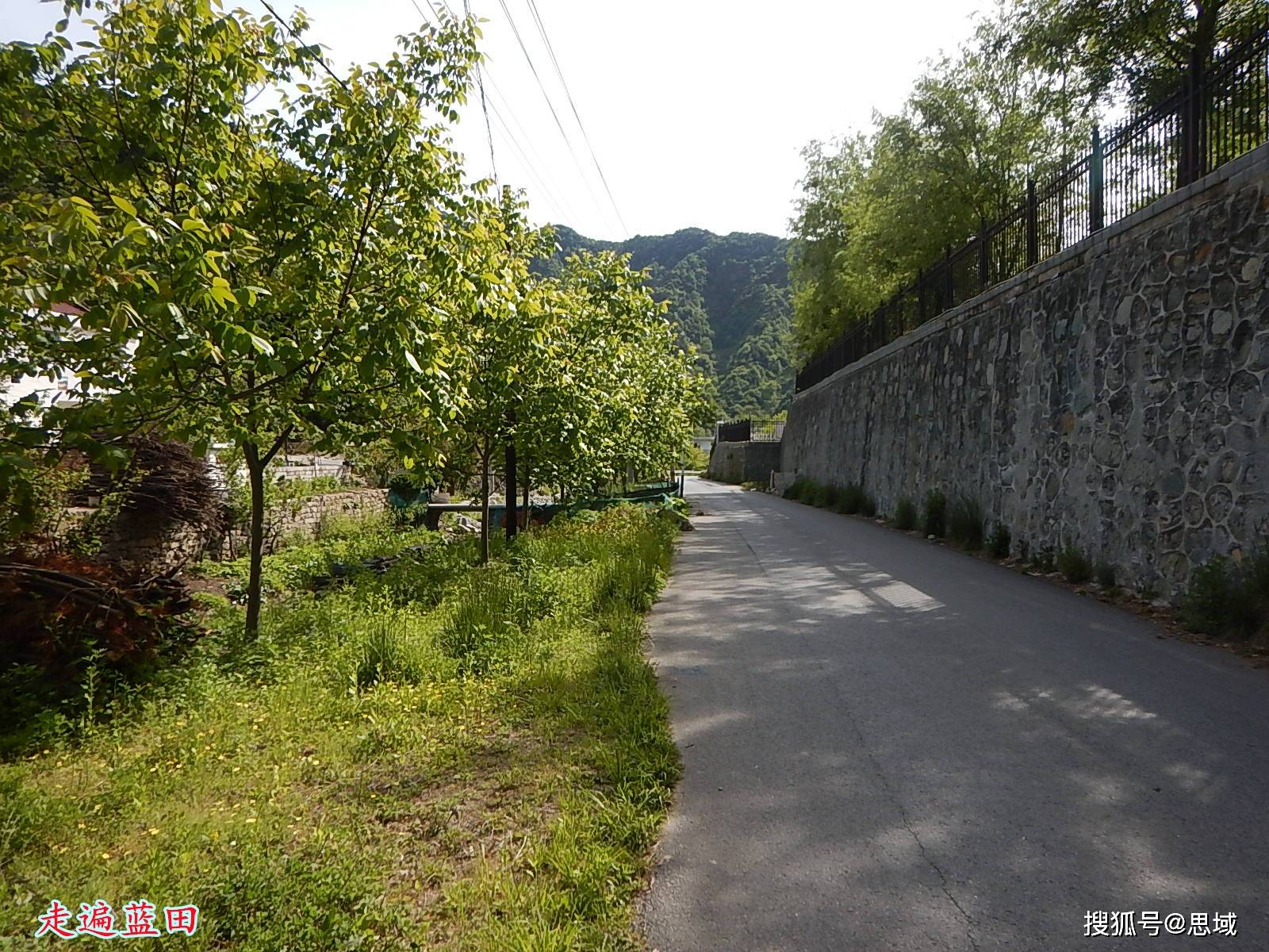 走遍藍田,2022灞源鎮(磨岔口村)穿越旅行(1)._岔溝_植被_西安