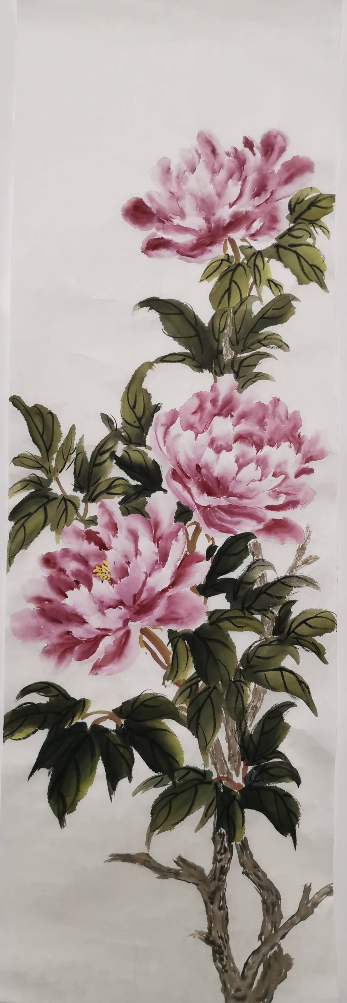 国画牡丹-小写意花鸟画-搜狐大视野-搜狐新闻