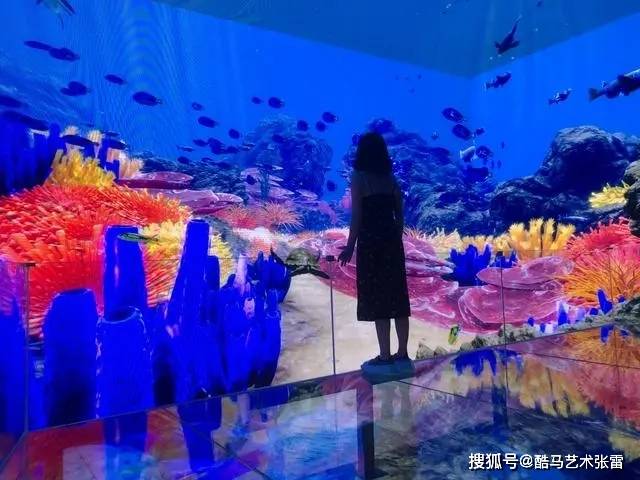 幻境空间悬空玻璃剧场裸眼3D艺术馆-搜狐大视野-搜狐新闻