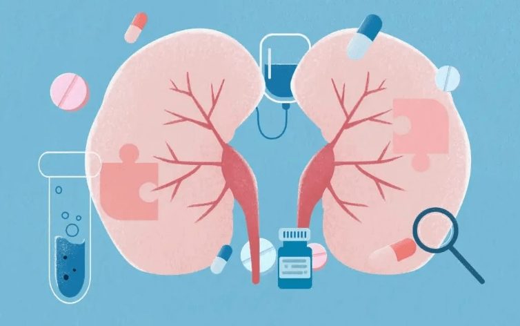 深圳复亚医院泌尿外科:泌尿外科那些事儿_膀胱_检查_疾病