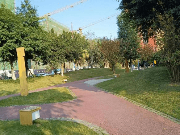 双水碾村|文化广场打造行动_居民_村委_环境