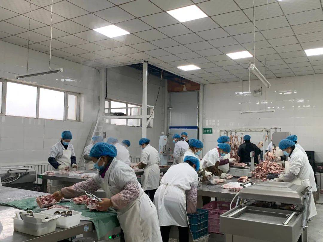 新疆焉耆:排酸羊肉让你"羊"气过年_销售_销量_养殖