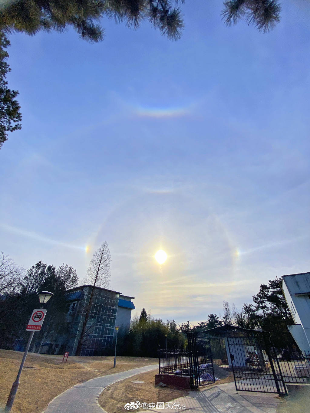 北京日晕、幻日、环天顶弧齐出现-搜狐大视野-搜狐新闻