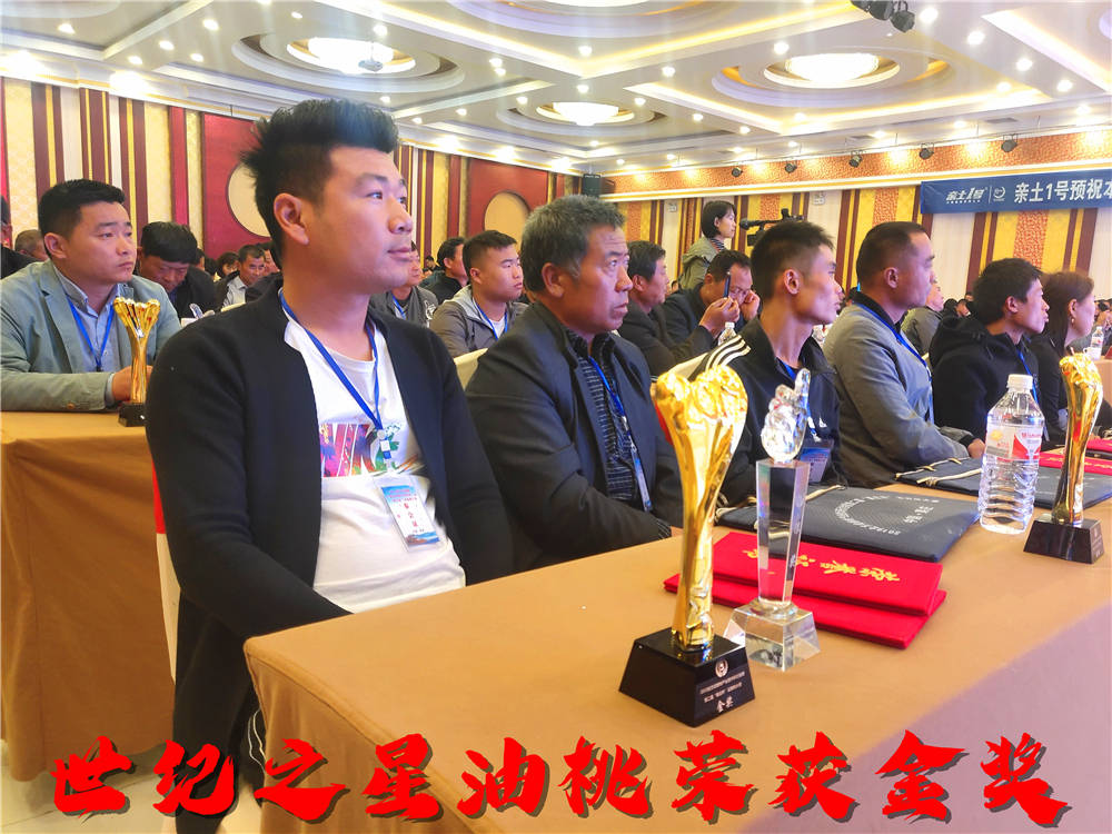中油24号油桃品种