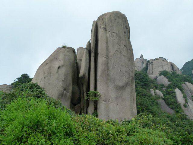 太姥山仙人锯板图片