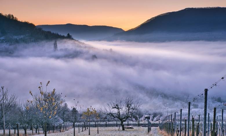 拥抱家居，家电厂商在存量市场找增量的新出路-家电圈官网