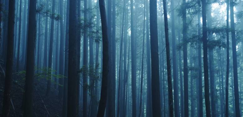 用户时代家电厂商抢市场，不怕拼低价就怕“低质乱价”-家电圈官网