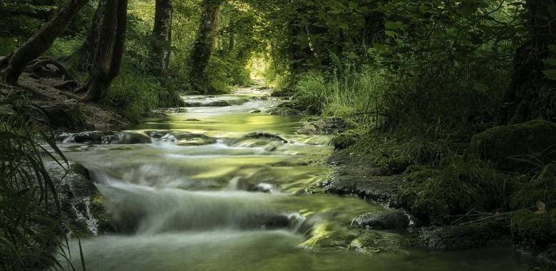 集成灶市场扩张加速,火星人等头牌要守住产业生命线-家电圈官网