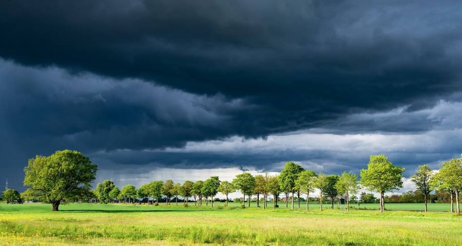 一些经销商朋友圈曝光今年家电市场真相-家电圈官网