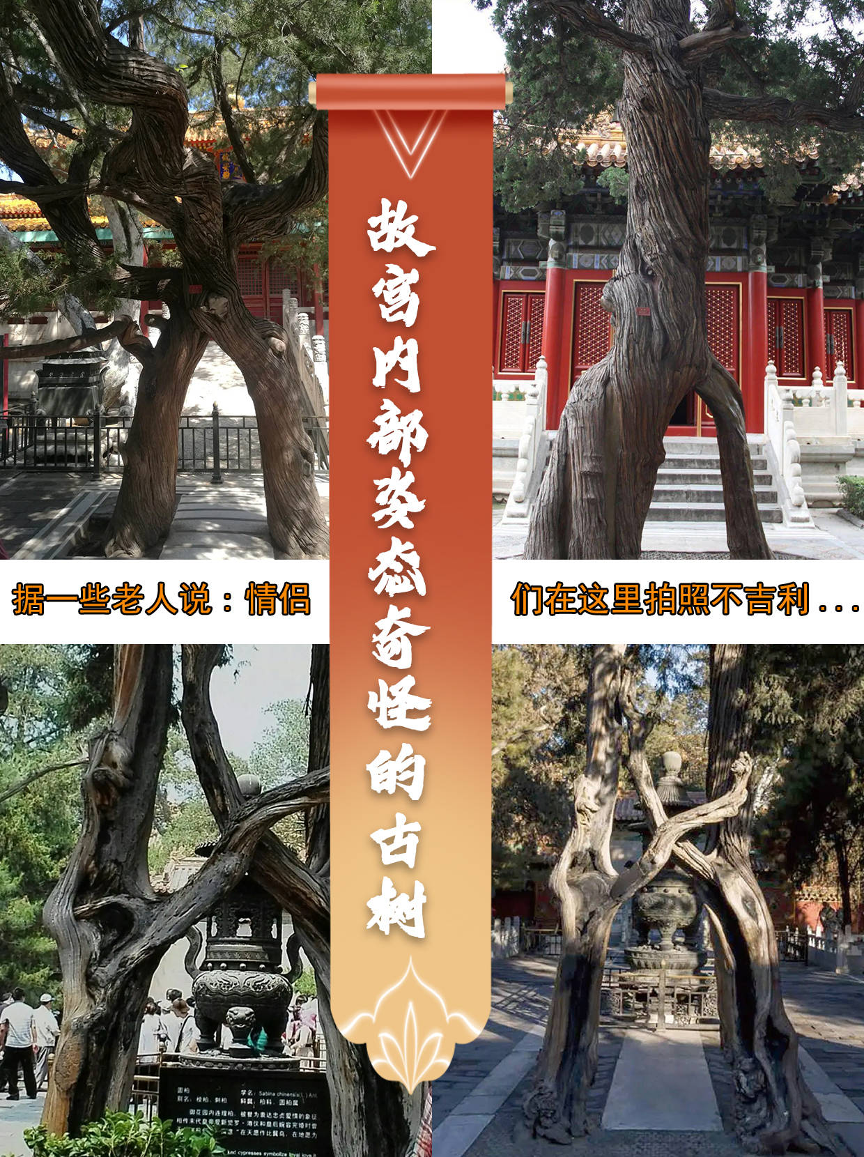 女生去故宫的忌讳,真的很诡异!_狮子_院子_时候