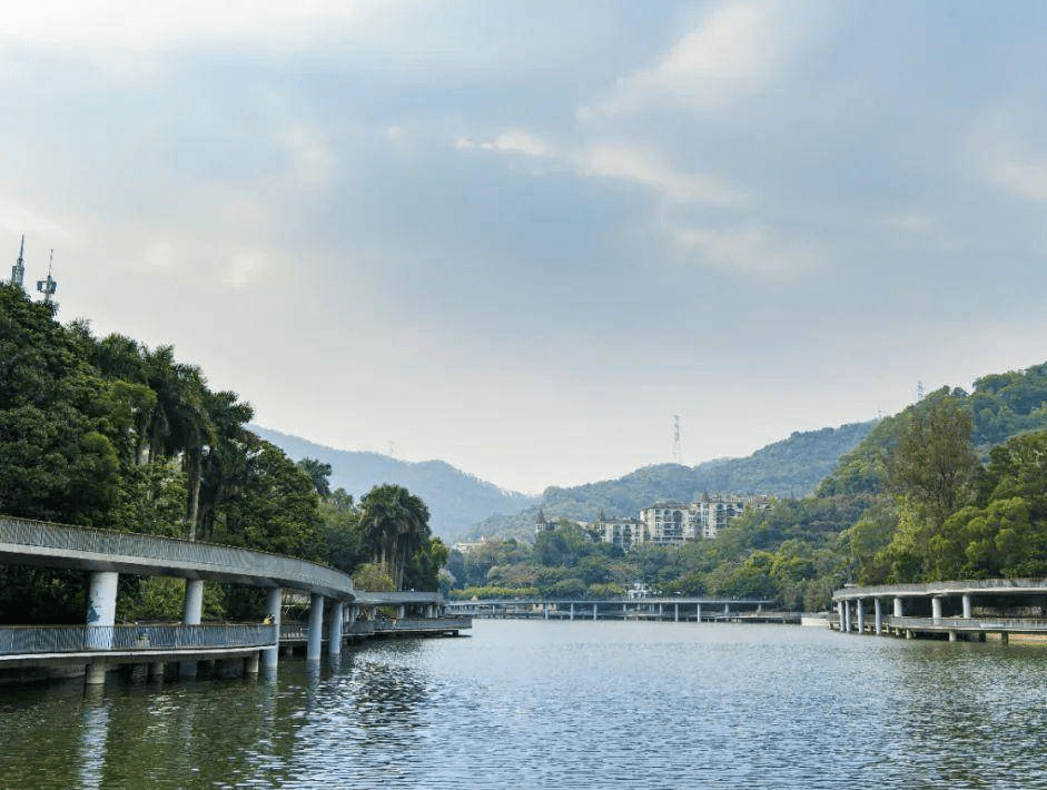 深圳环银湖水库碧道,要火!_设计_风景_栈道