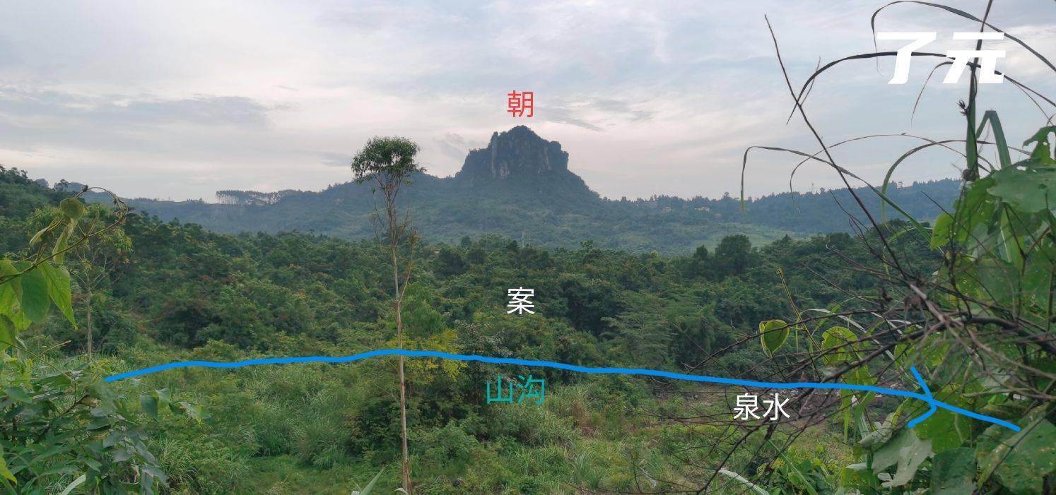 河池市龟形小地,穴结龟鼻