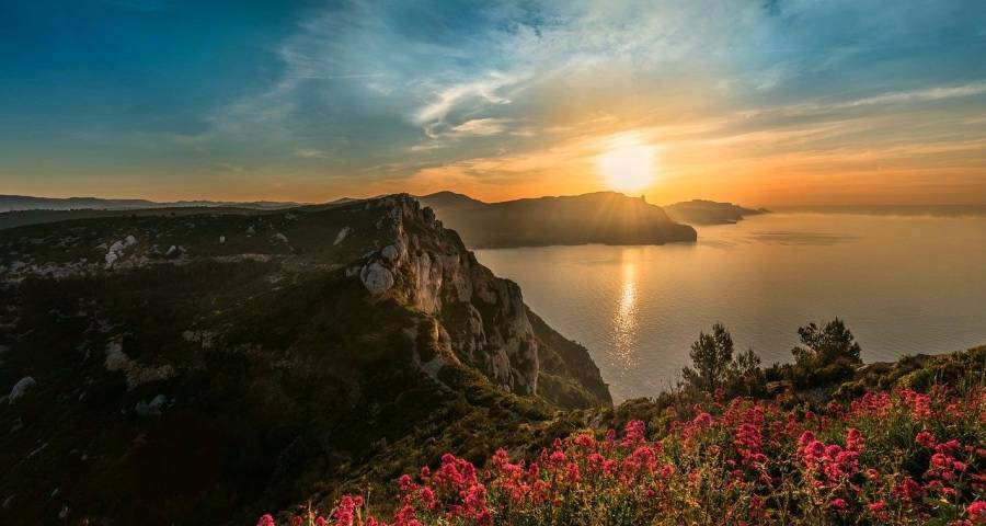 消费更新放缓但家电市场拼抢加速-家电圈官网