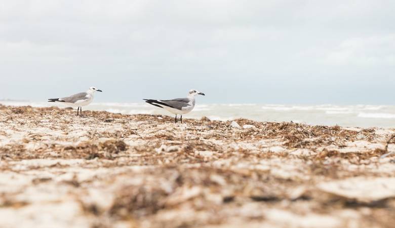 光伏业务大涨,黑电起家拓展白电的创维要走向哪里?-家电圈官网