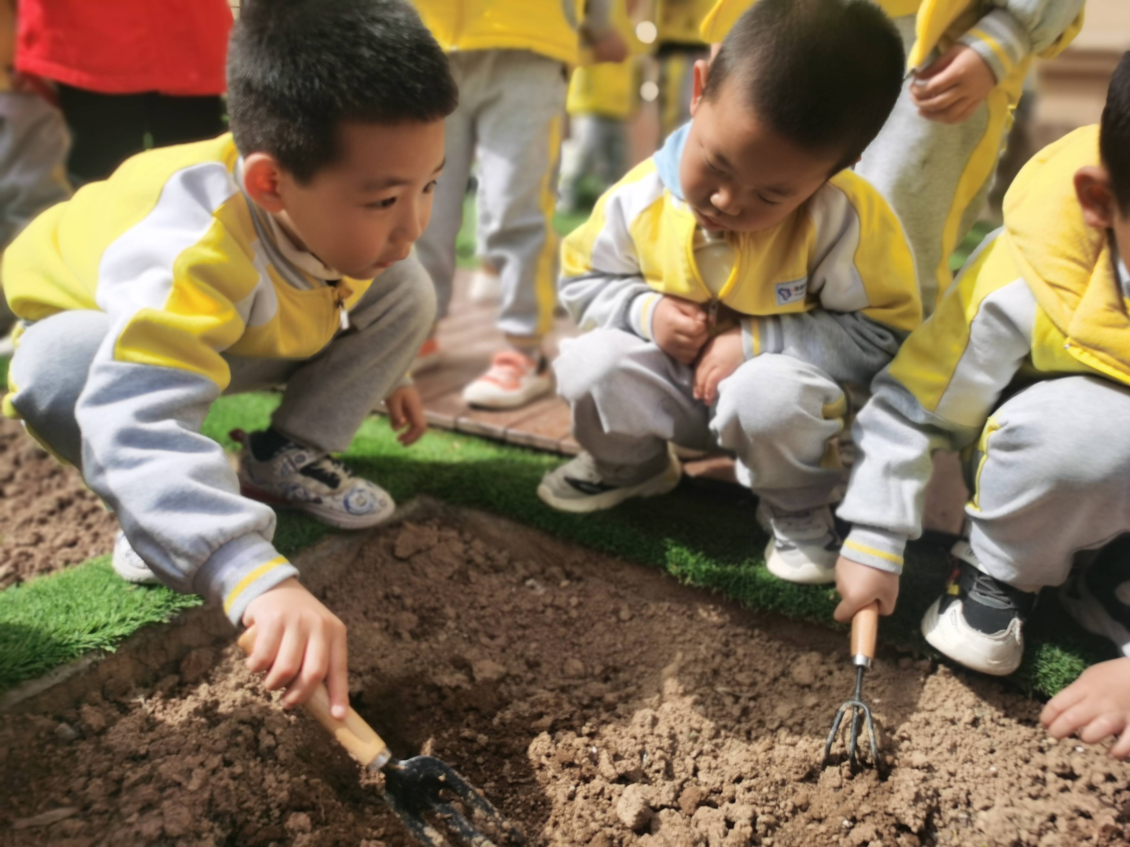 幼儿园春耕活动主题图片