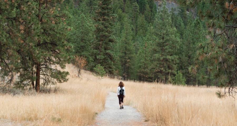 用户需求家电企业到底怎么满足？-家电圈官网