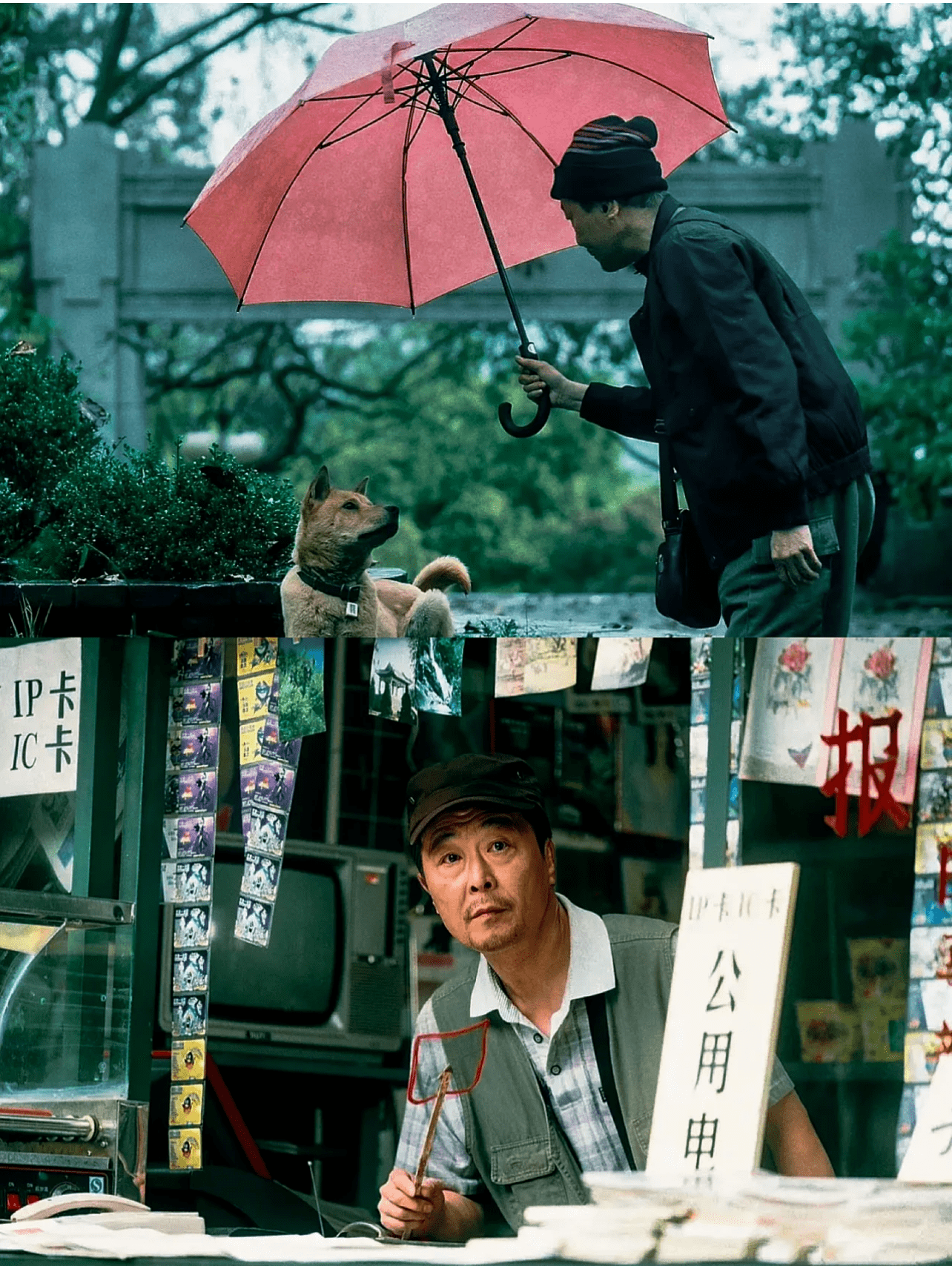 忠犬八公幕后花絮图片