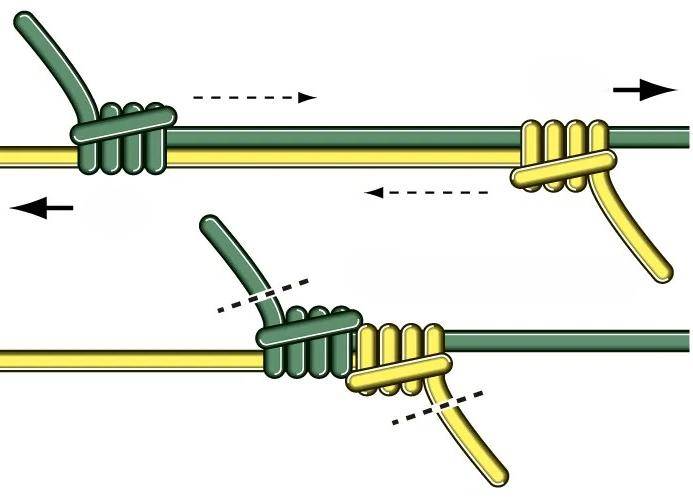 电车结绑法 - 教你如何正确地绑电车结_末端_穿过环_进行