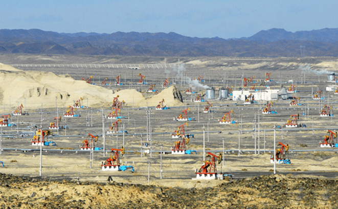 新疆安东石油图片