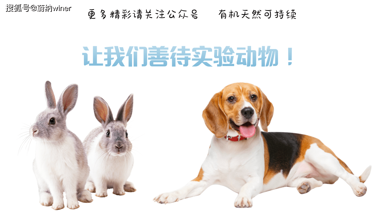 4月24日-世界實驗動物日,讓我們善待實驗動物_自由_試驗_福利