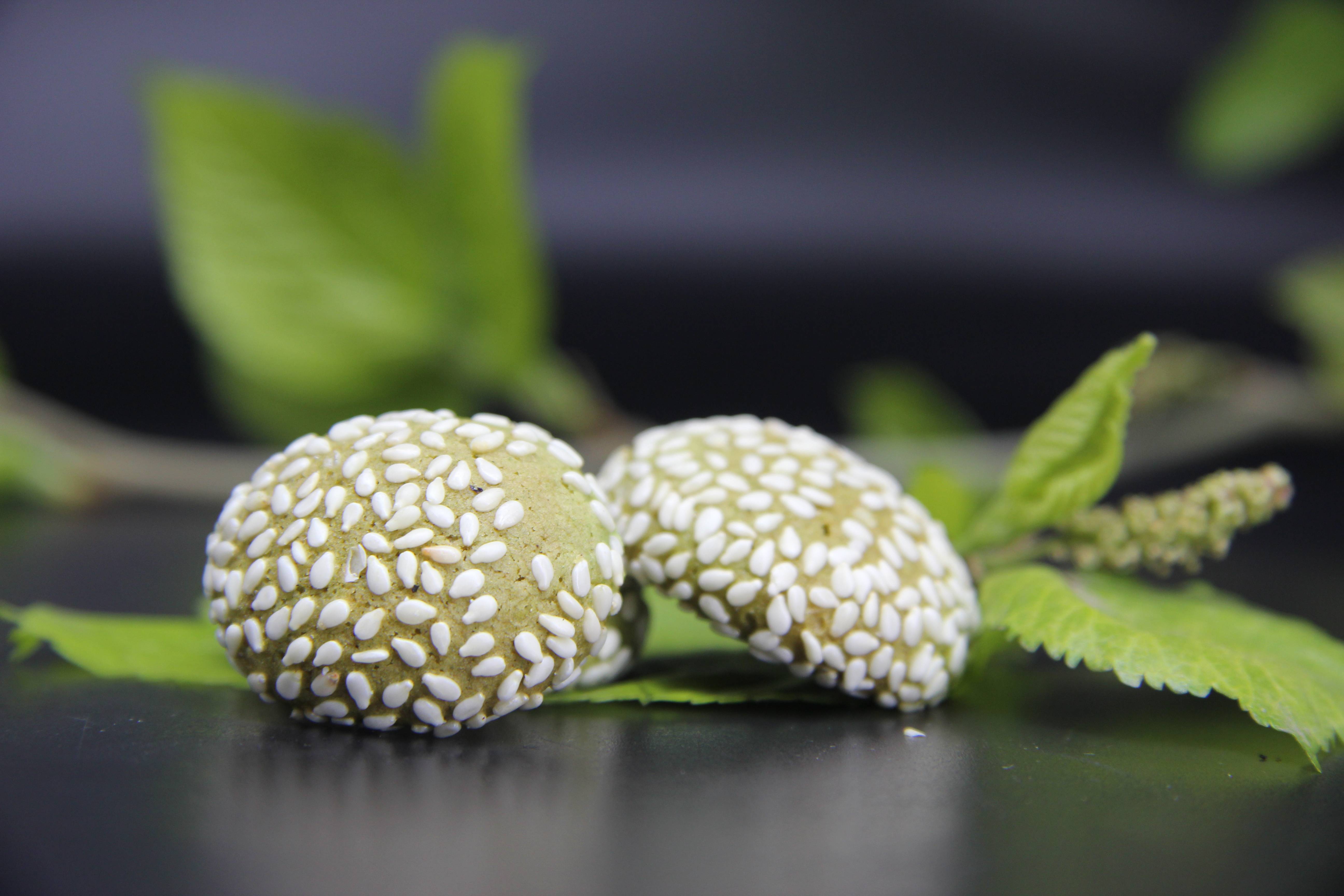 【桑茶食品】吃桑叶美食,粒粒酥,花生糖糖颜值口感超棒~_清香_美味