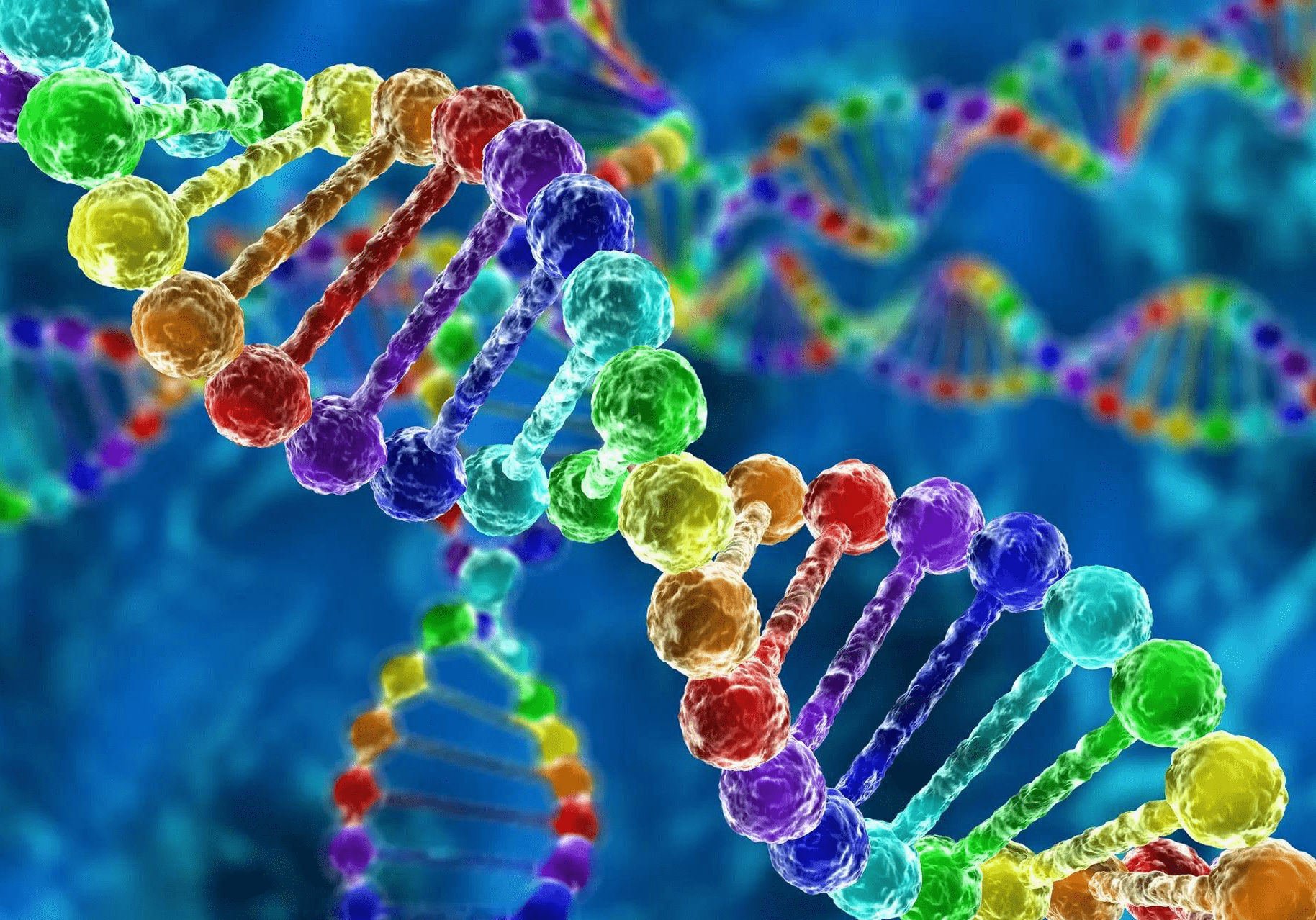 人类"泛基因组":首次公布的草案捕捉到了dna多样性_参考_变异_研究