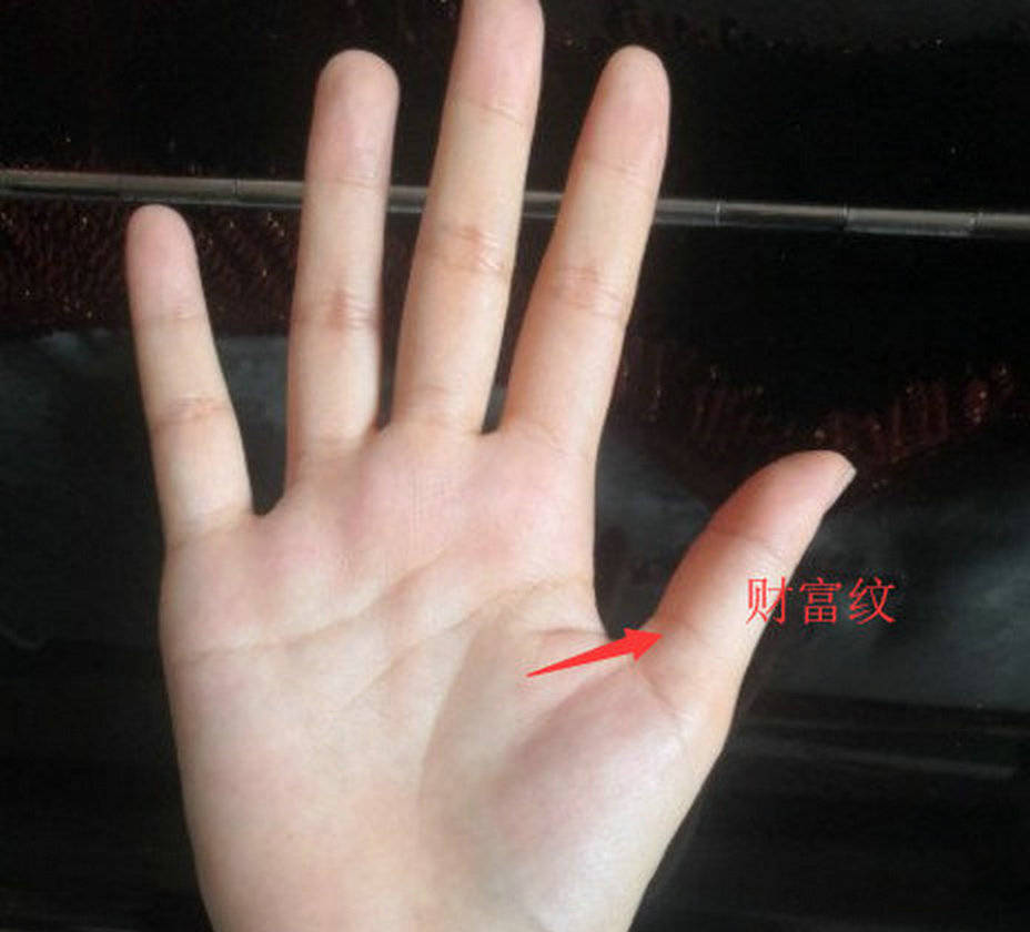 周公儒:今天分析一则真实财富纹的手相实例_横纹_危机_生命线