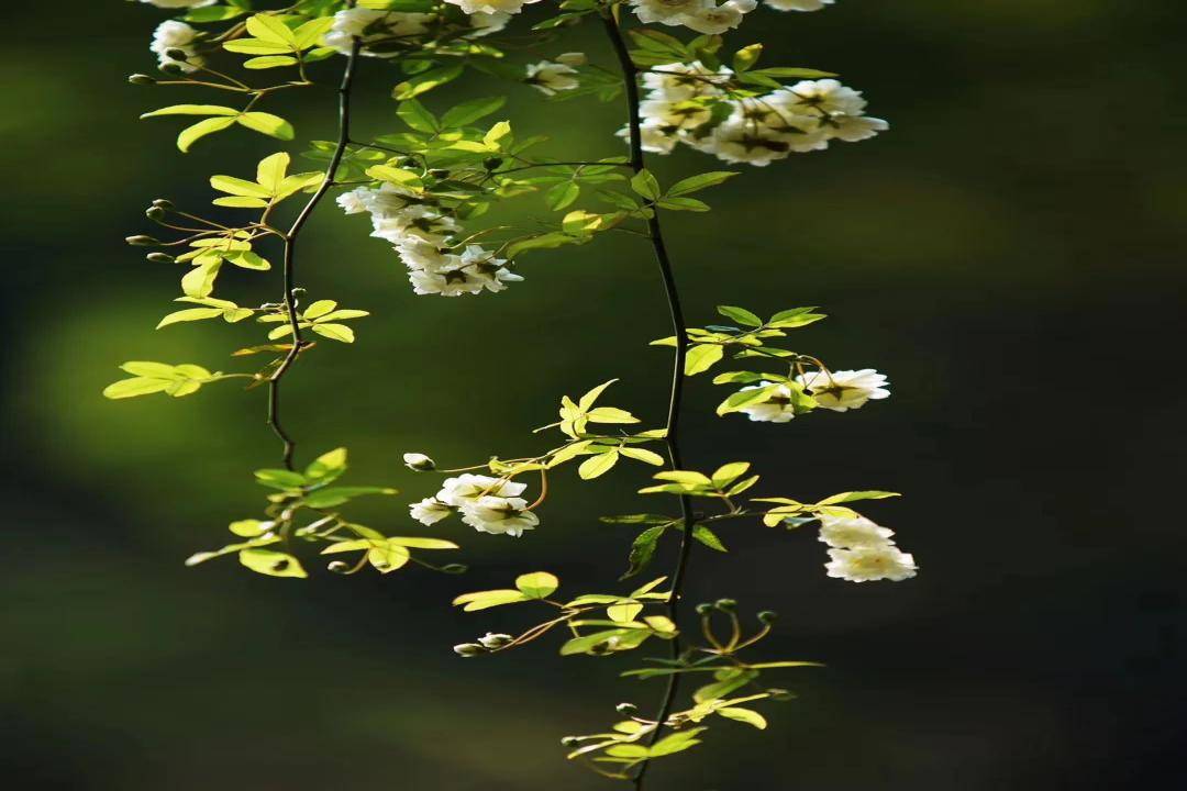牧云溪谷,风采情趣而饱满,灵魂丰盈而澄澈_风景_心灵_生活