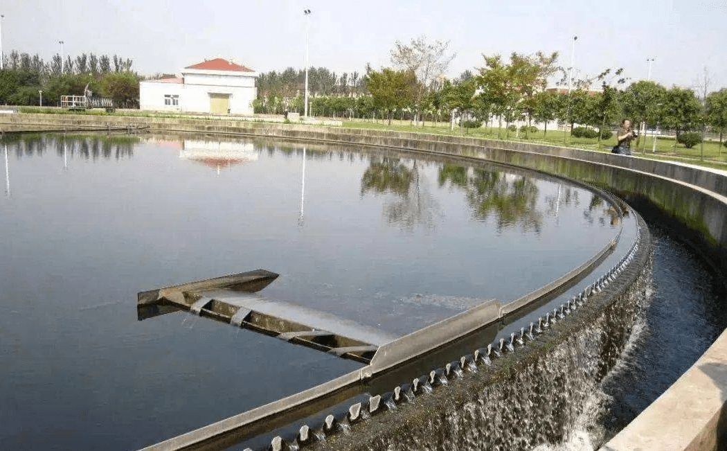 二沉池知识点_处理_污泥_检查